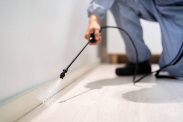 Licensed Cockroach Control service in Chatsworth, IL - Nex Pest Control