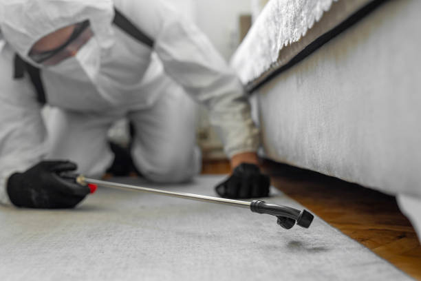 Professional Cockroach Control technician working in Chatsworth, IL