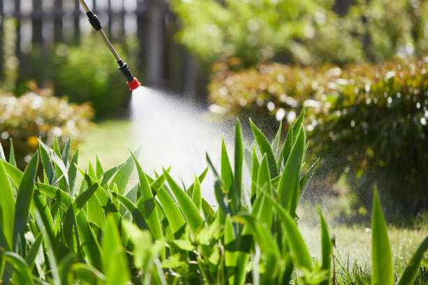 24/7 Emergency Cockroach Control experts in Chatsworth, IL