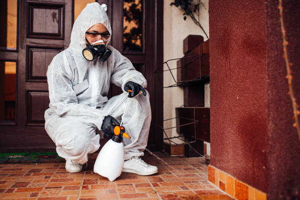 Reliable Cockroach Control contractor in Chatsworth, IL by Nex Pest Control