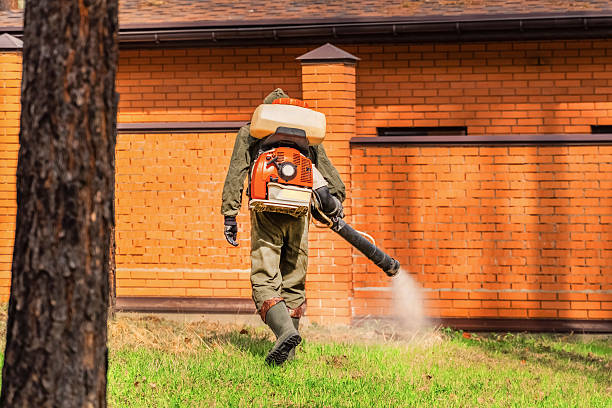 Trusted Bed Bug Control service in Chatsworth, IL - Nex Pest Control